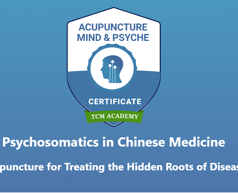 Psychosomatics in Chinese Medicine: Acupuncture for Treating the Hidden Roots of Disease